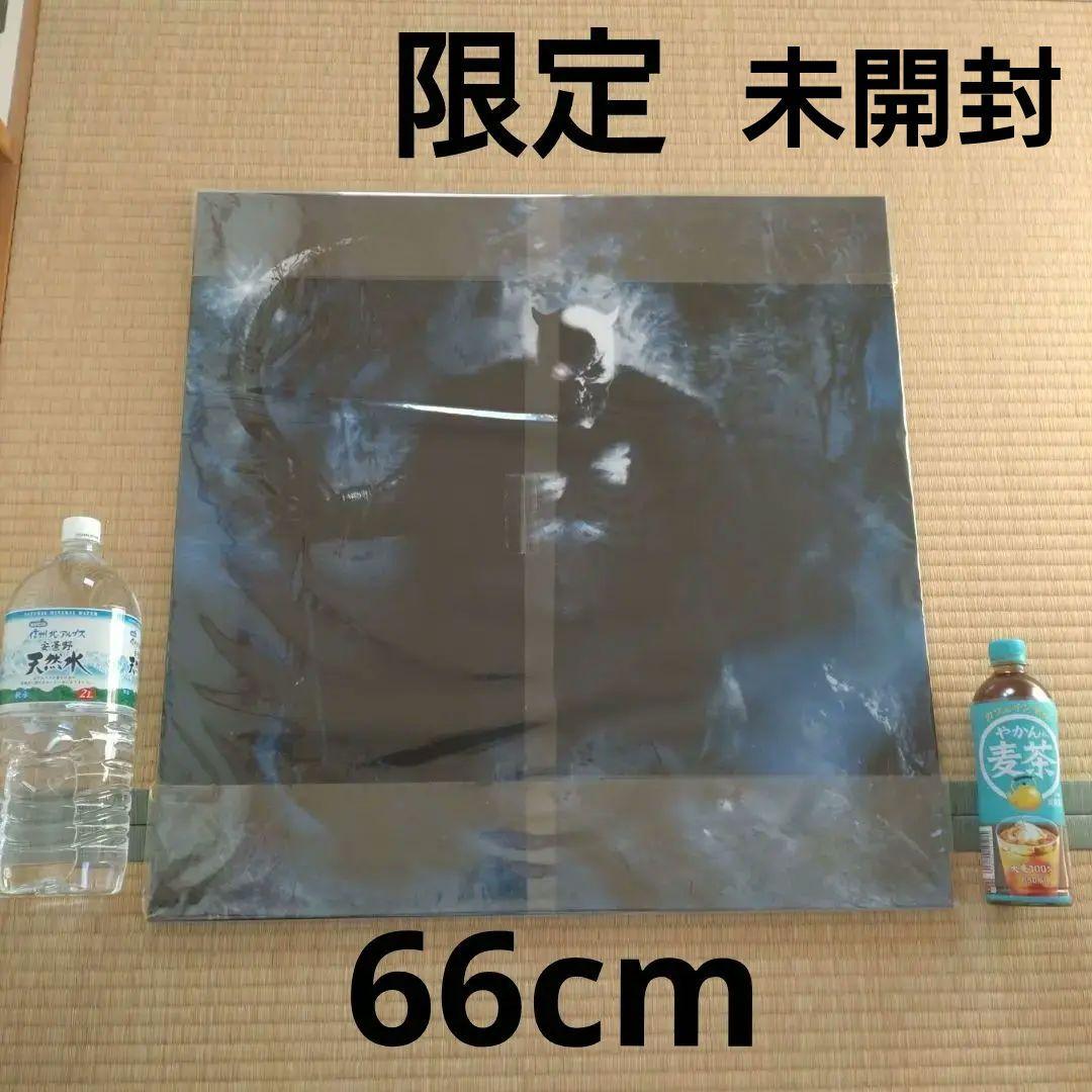 BALZAC 666mm特大ジャケット『HATRED』限定バージョン