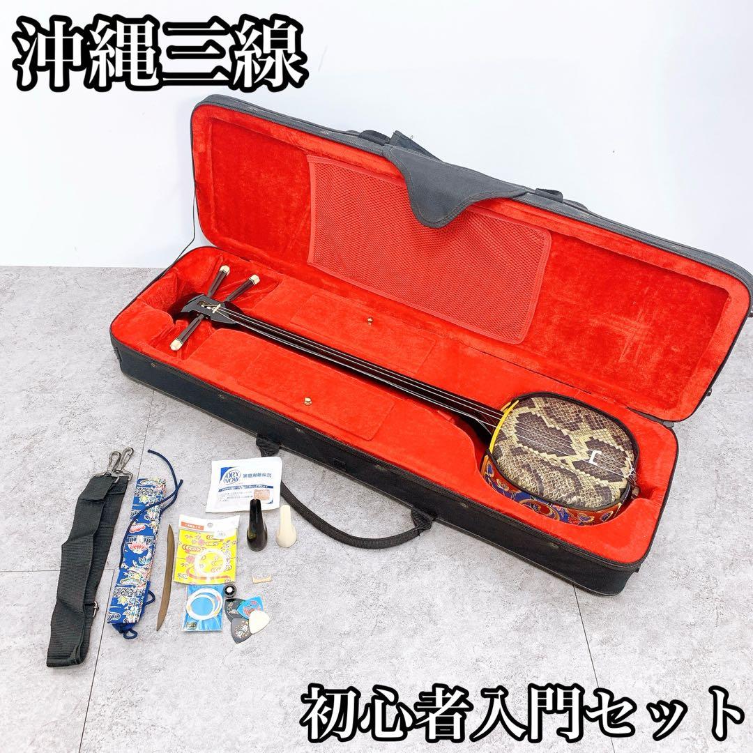 美品 沖縄三線 人工皮 蛇柄 弦楽器 琉球 黒塗り ケース付 初心者 入門モデル