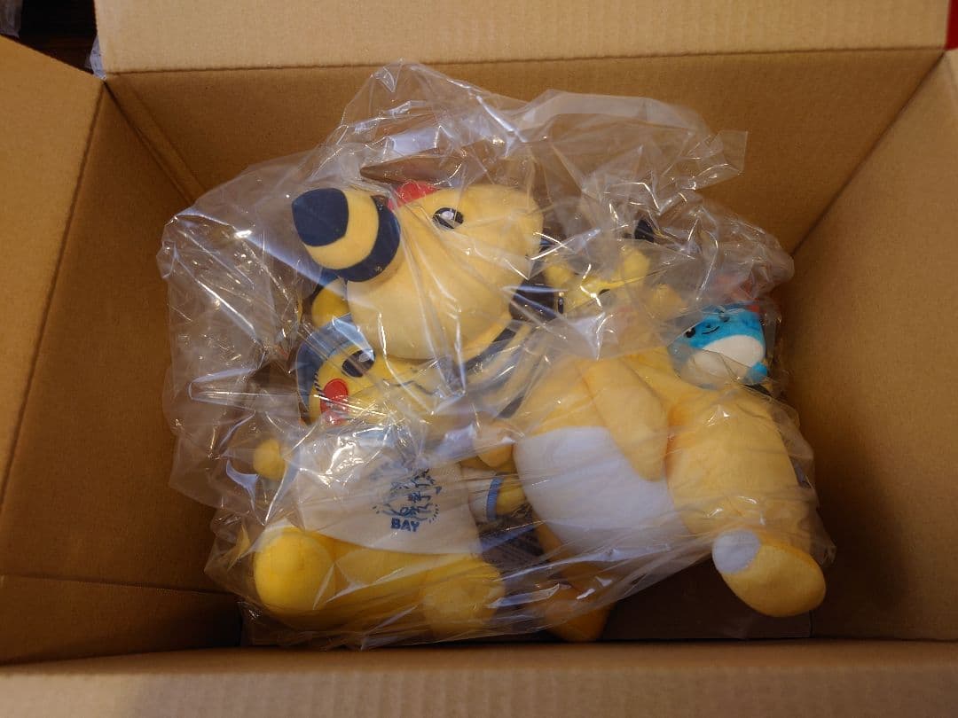 ポケモン トウキョーベイ デンリュウ ピカチュウ