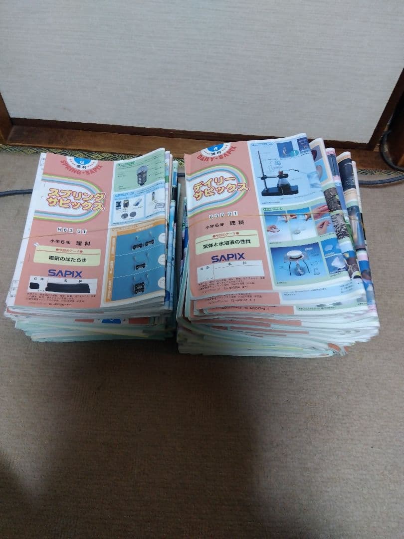 2022年度 SAPIX デイリーサピックス 小学6年 理科