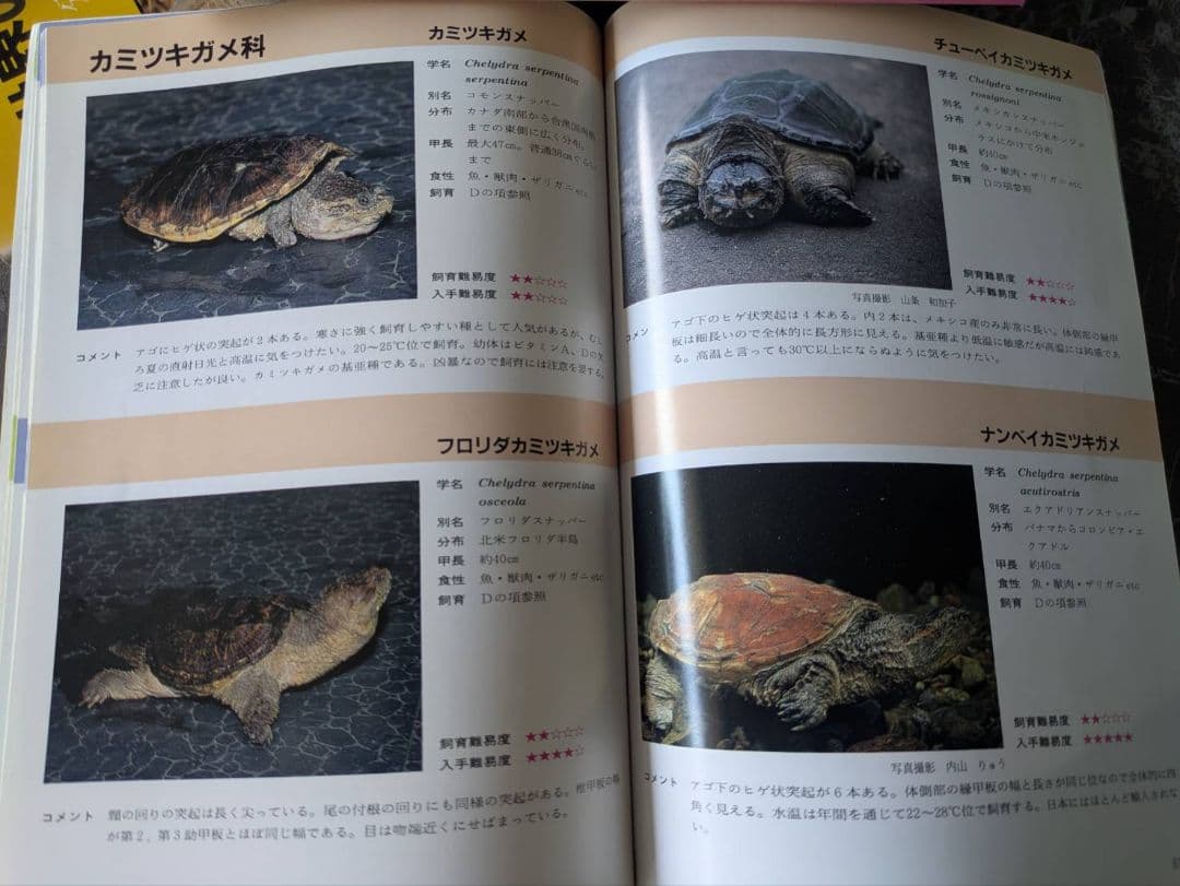 超マニアック本　世界のカメ全3冊