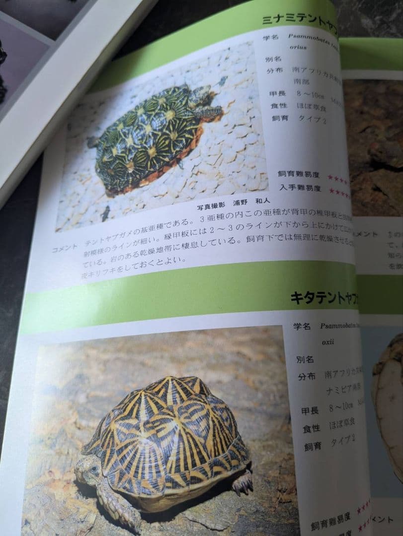 超マニアック本　世界のカメ全3冊