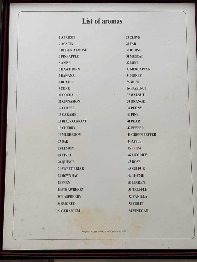 お値下げ！✨英語版 Le Nez du Vin 54香りセット｜ワインアロマ教材