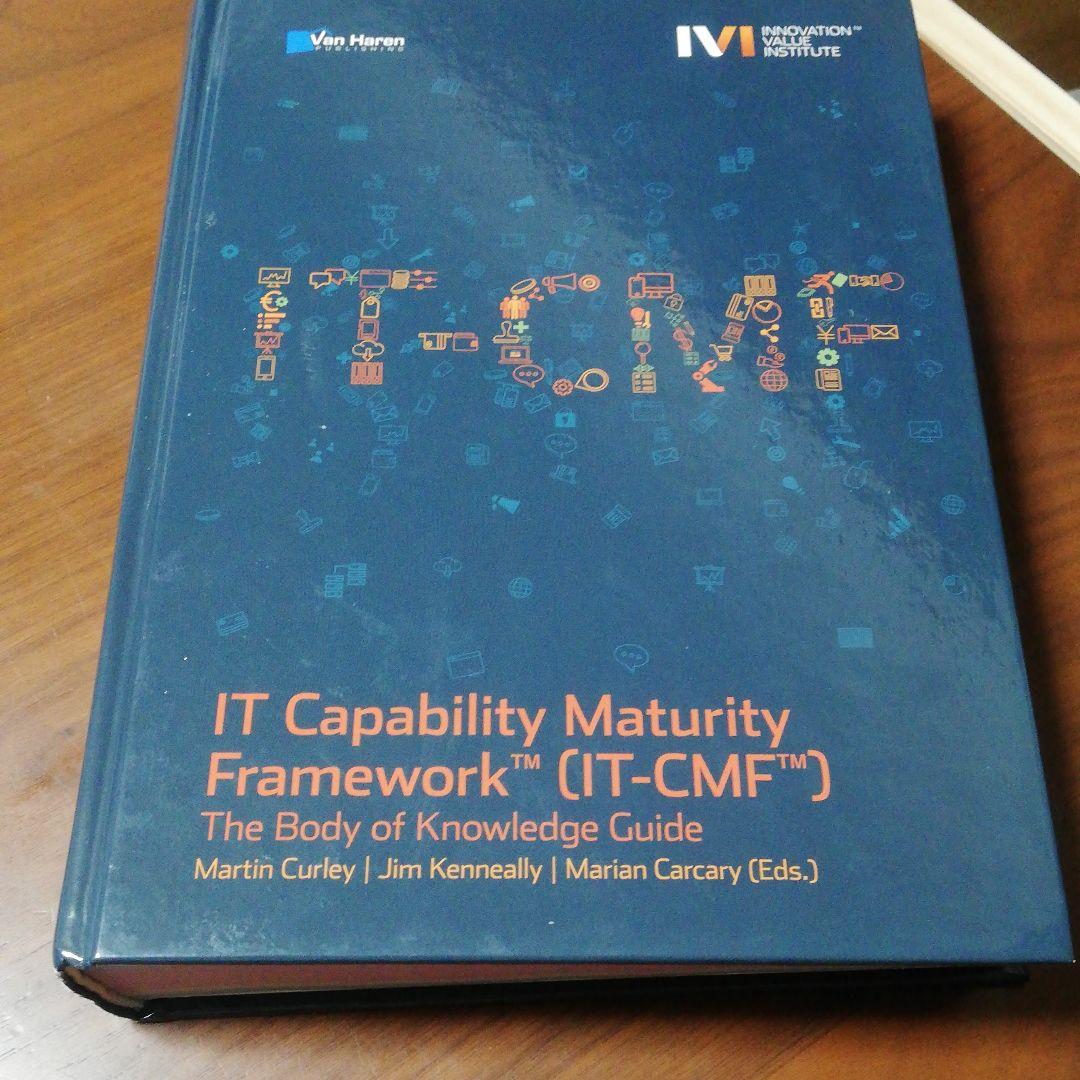コンピュータ・IT IT CAPABILTY MATURITY FRAMEWORK