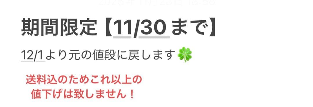 Nintendo Switch Lite グレー 箱あり充電器付き（値下げ済）
