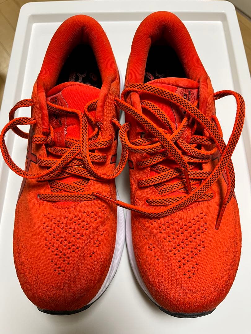 千ちゃん　ASICS ゲルカヤノ29 スタンダード　25.5センチ