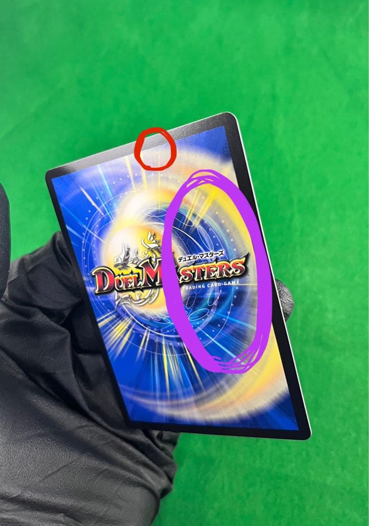 水上第九院 シャコガイル B