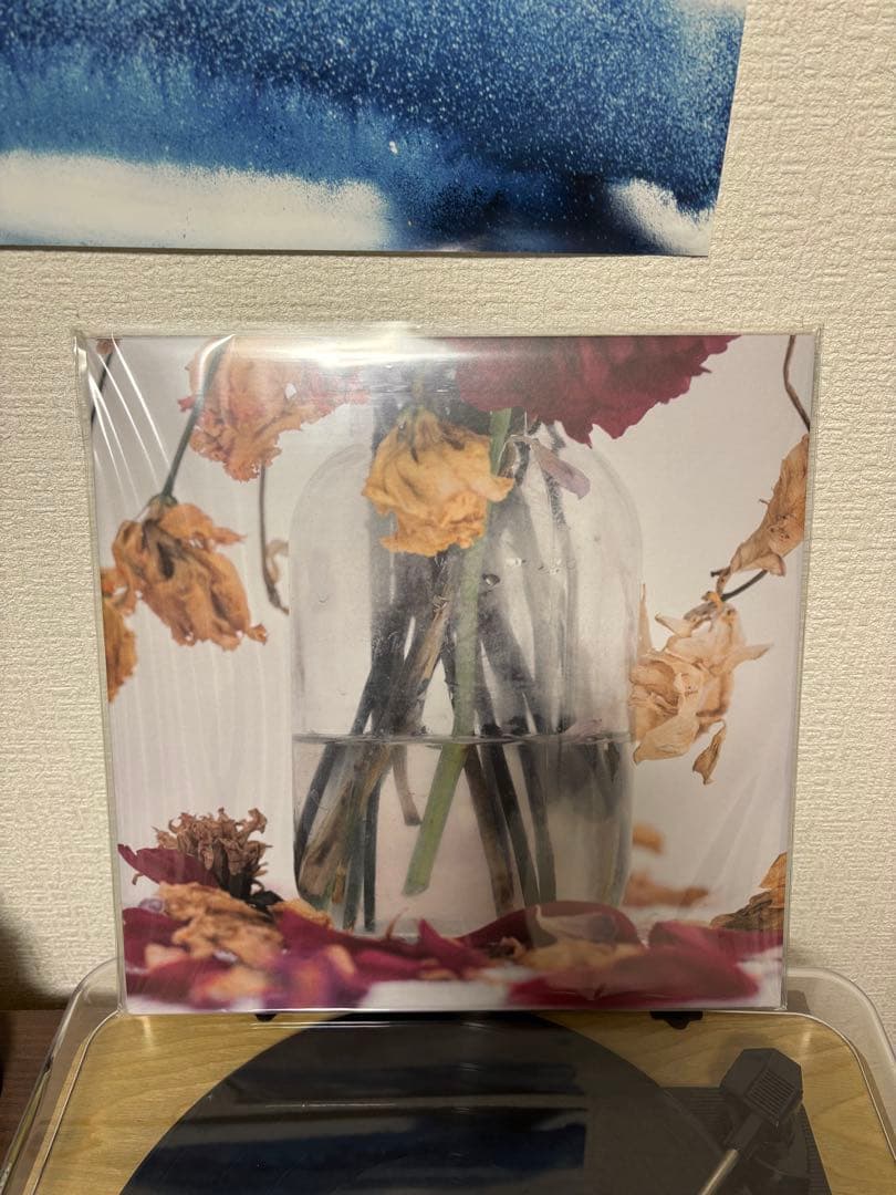 Camellia - 唾奇 / LP, レコード