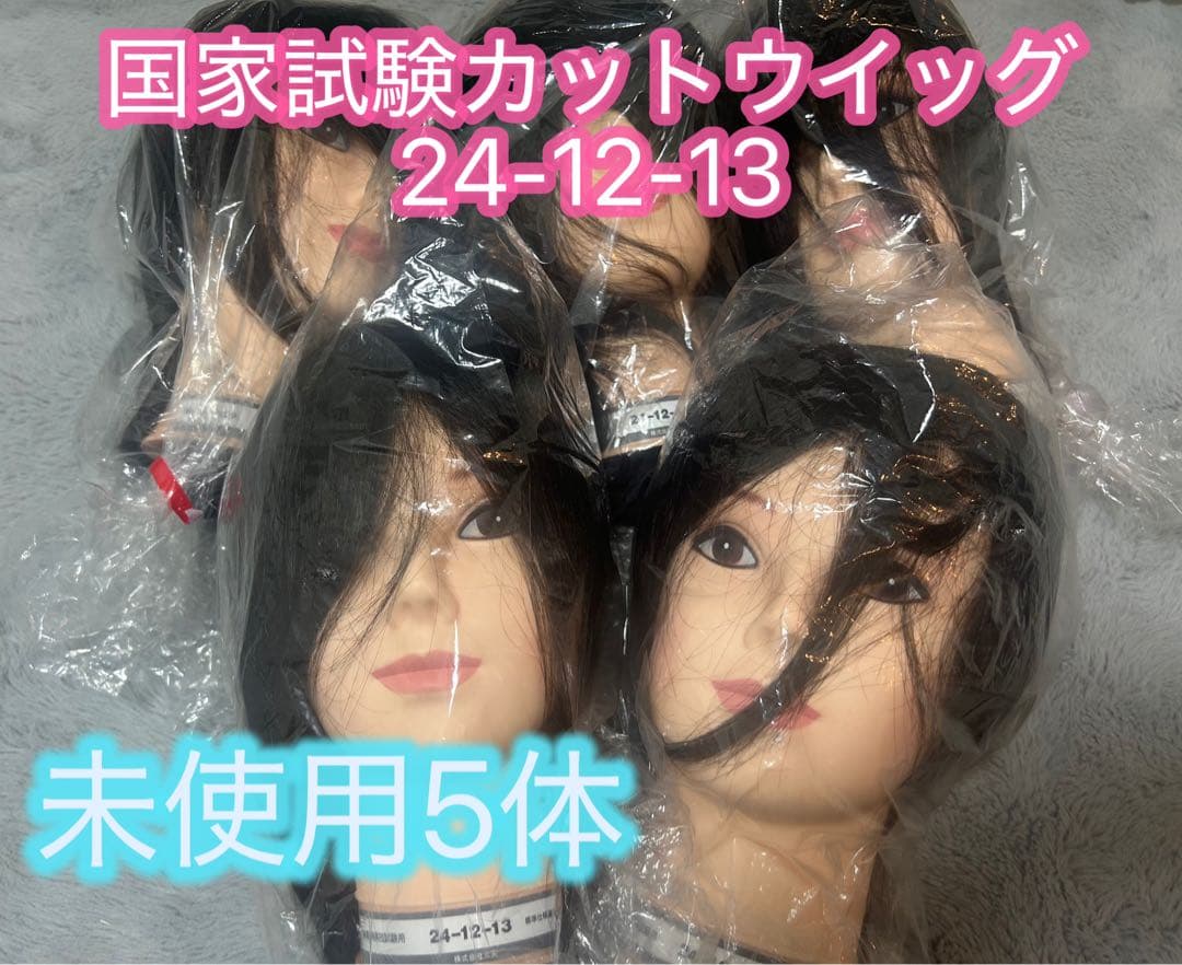 国家試験カットウィッグ 24-12-13 5体セット