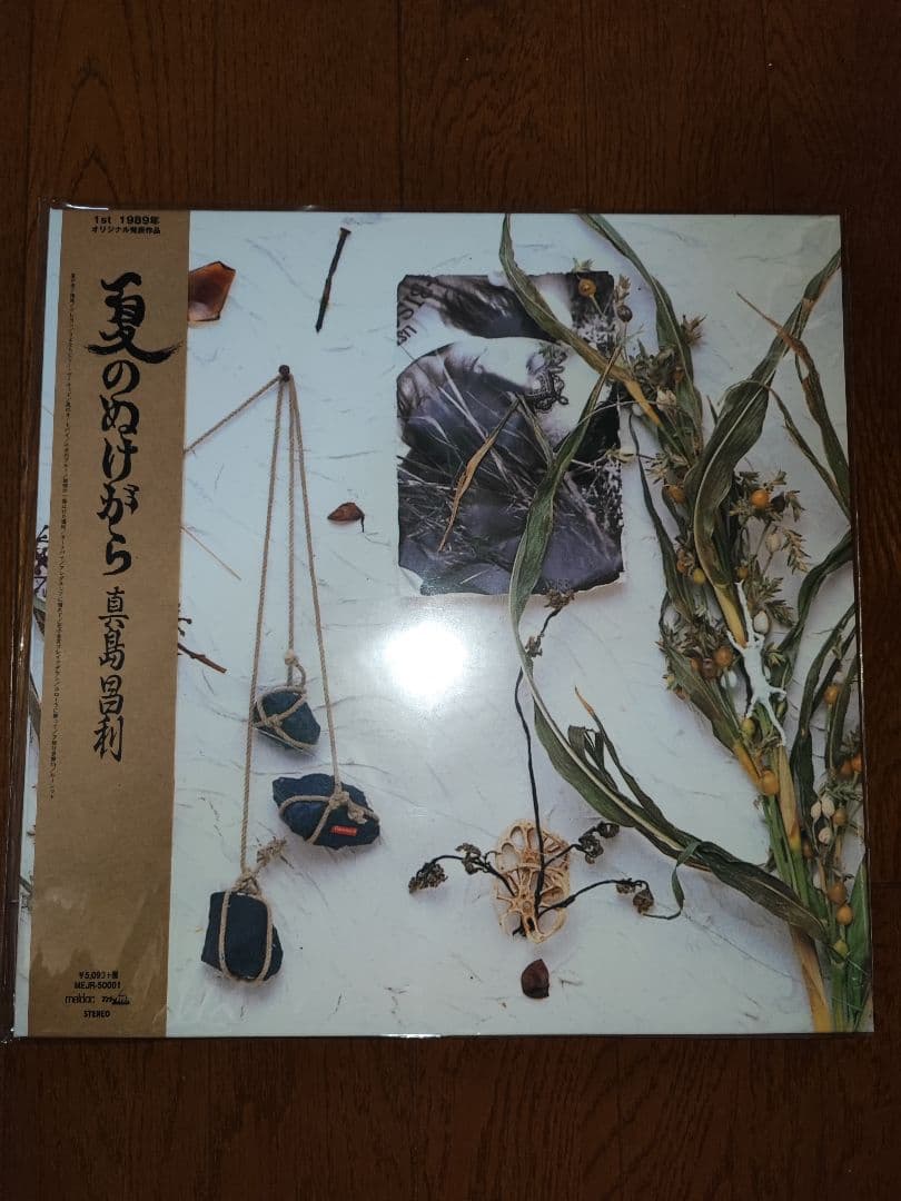 新品 真島昌利 夏のぬけがら ブルーハーツ blue hearts ハイロウズ