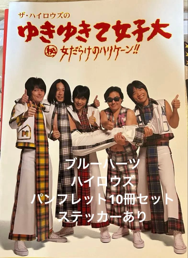 激レア　ブルーハーツ　ハイロウズ　パンフレット　大量10冊セット