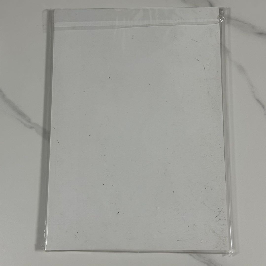 【おまけ付き】進撃の巨人 画集FLY