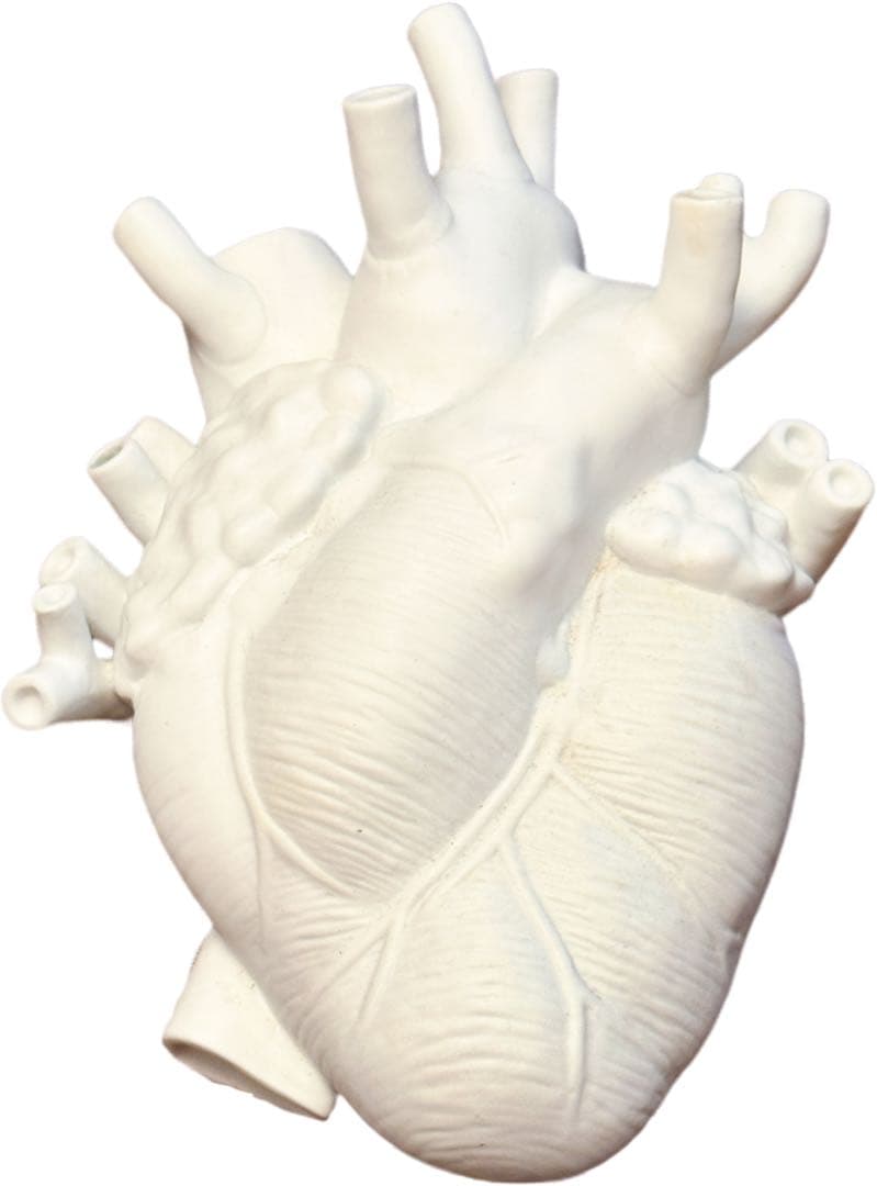 最終値下げ　SELETTI heart vase 心臓 フラワーベース 花瓶