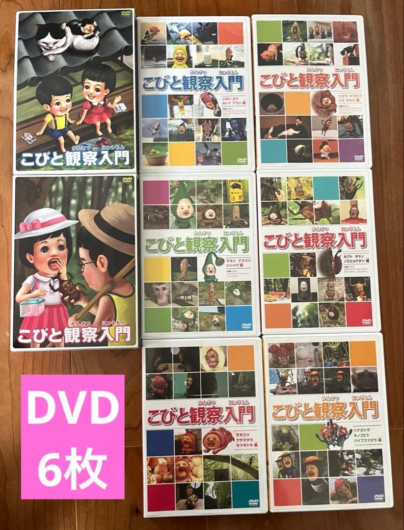 こびと観察入門　DVD BOX ２セット　単品2本　こびとづかん　中古DVD6枚