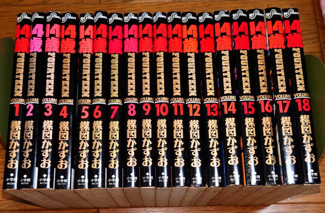【18冊セット】14歳 FOURTEEN 1～18巻 楳図かずお 非全巻