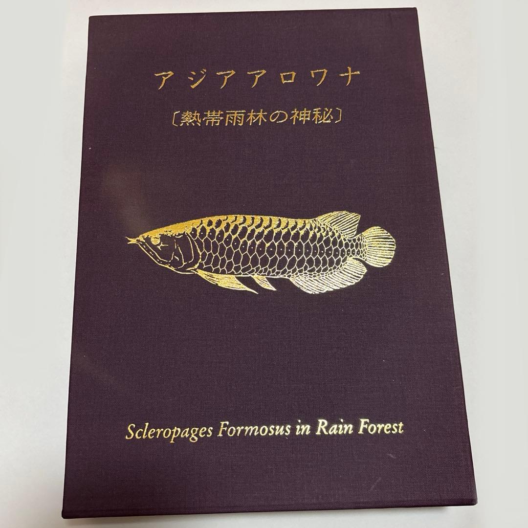 アジアアロワナ[熱帯雨林の神秘]