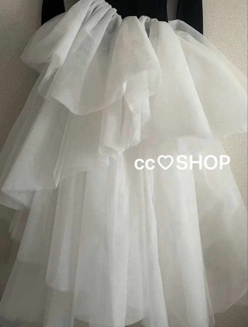 専用bibiy DELPHINE TULLE DRESS ひめか 山田優 着用