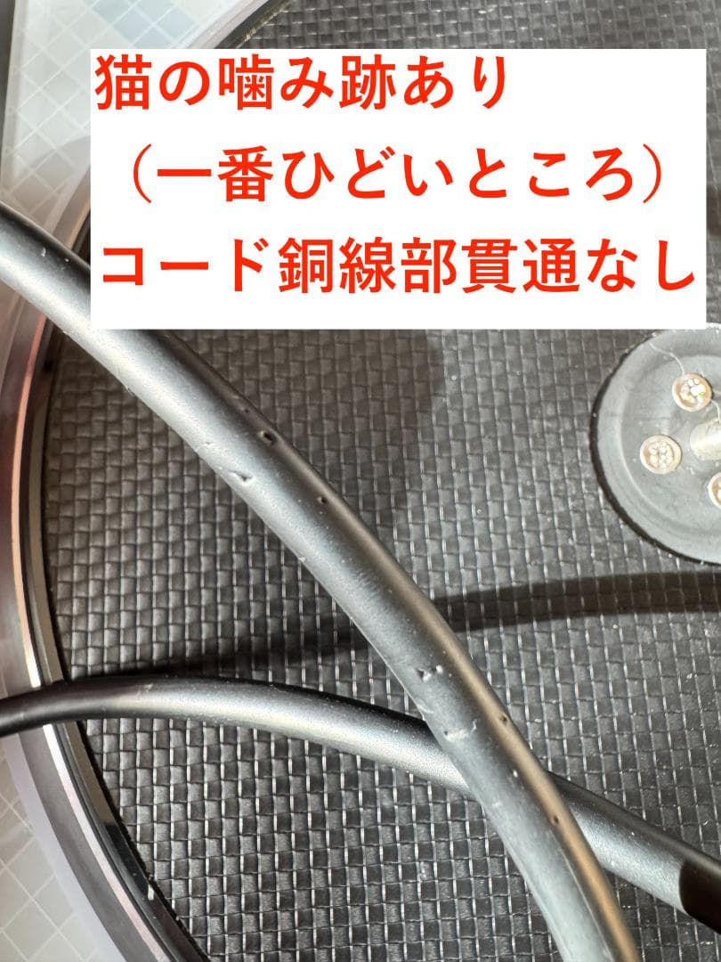 PHOENIXWAN 2台 動作確認済み 商品状態:説明必読