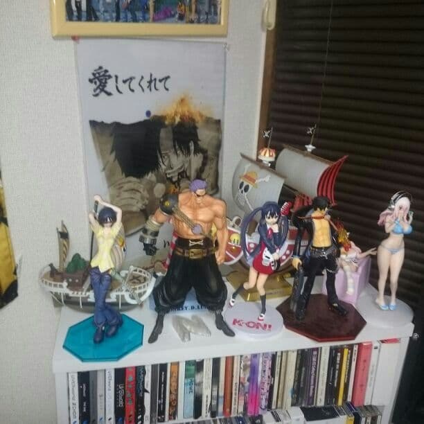 ワンピースフィギュア  確認用