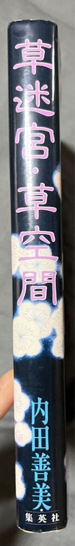 【集英社】草迷宮・草空間 / 内田善美