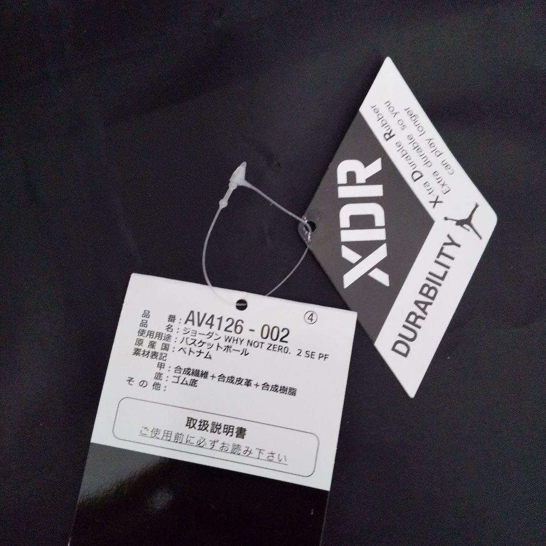 シューズ(男性用) JORDAN WHY NOT ZERO.2 SE PF