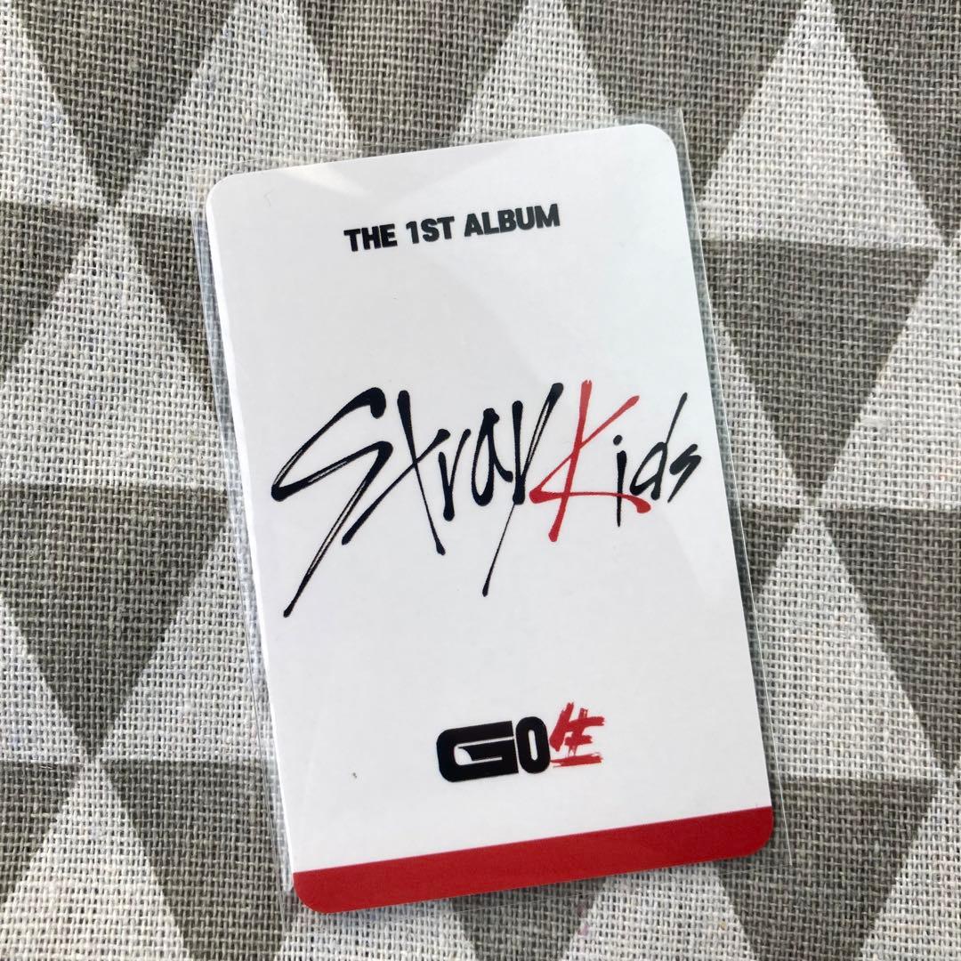 Straykids subk GO生 スキズ  チャンビントレカ