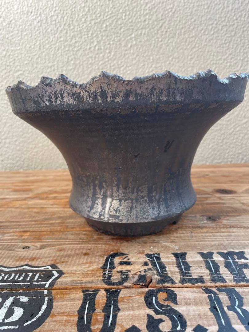 松野然 ZEN 検）塊根 アガベ 作家鉢　パキプス　グラキリス