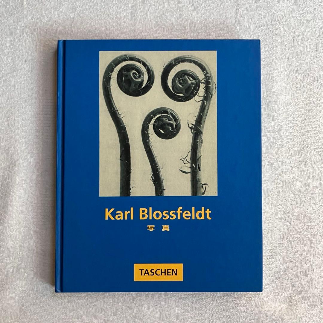 アート・デザイン・音楽 90s Karl Blossfeldt art book