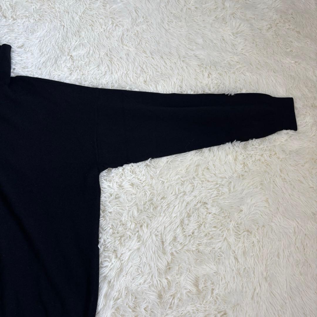 cash&barba キャッシュアンドバルバ モンゴリアンカシミヤ タートル　4