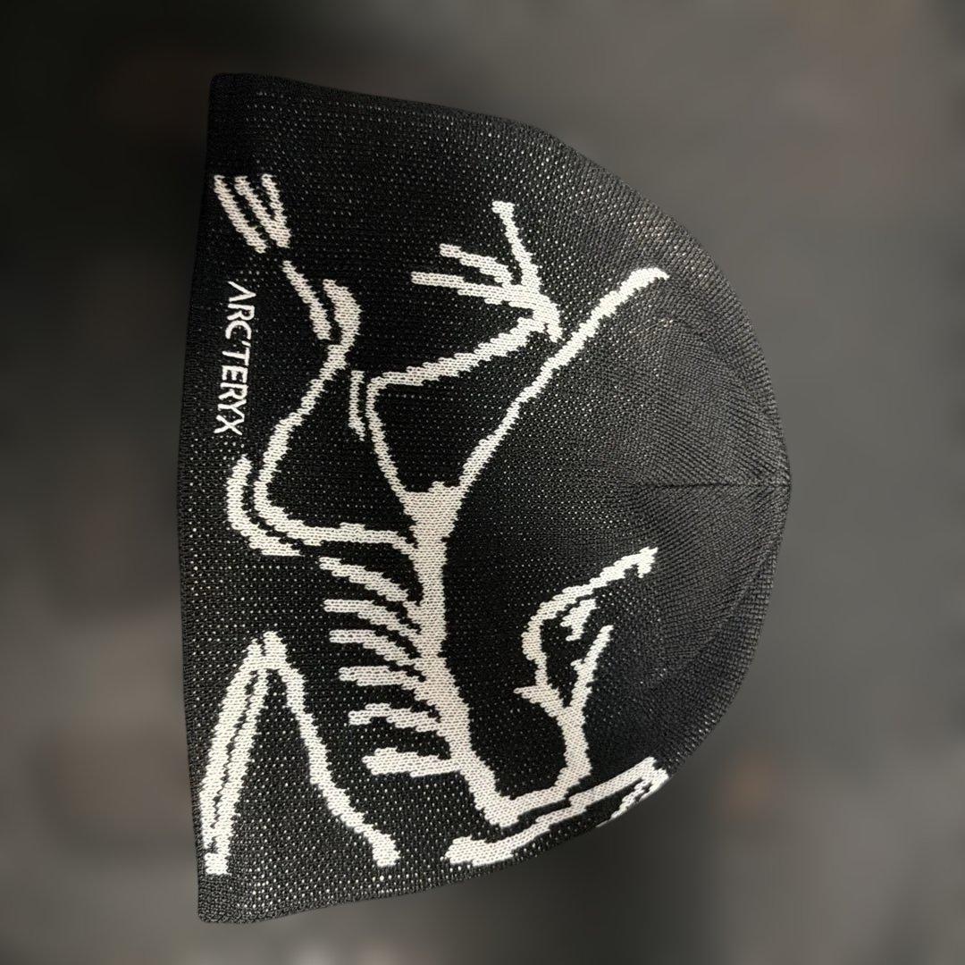 帽子 Arc'teryx Bird Head Toque orca