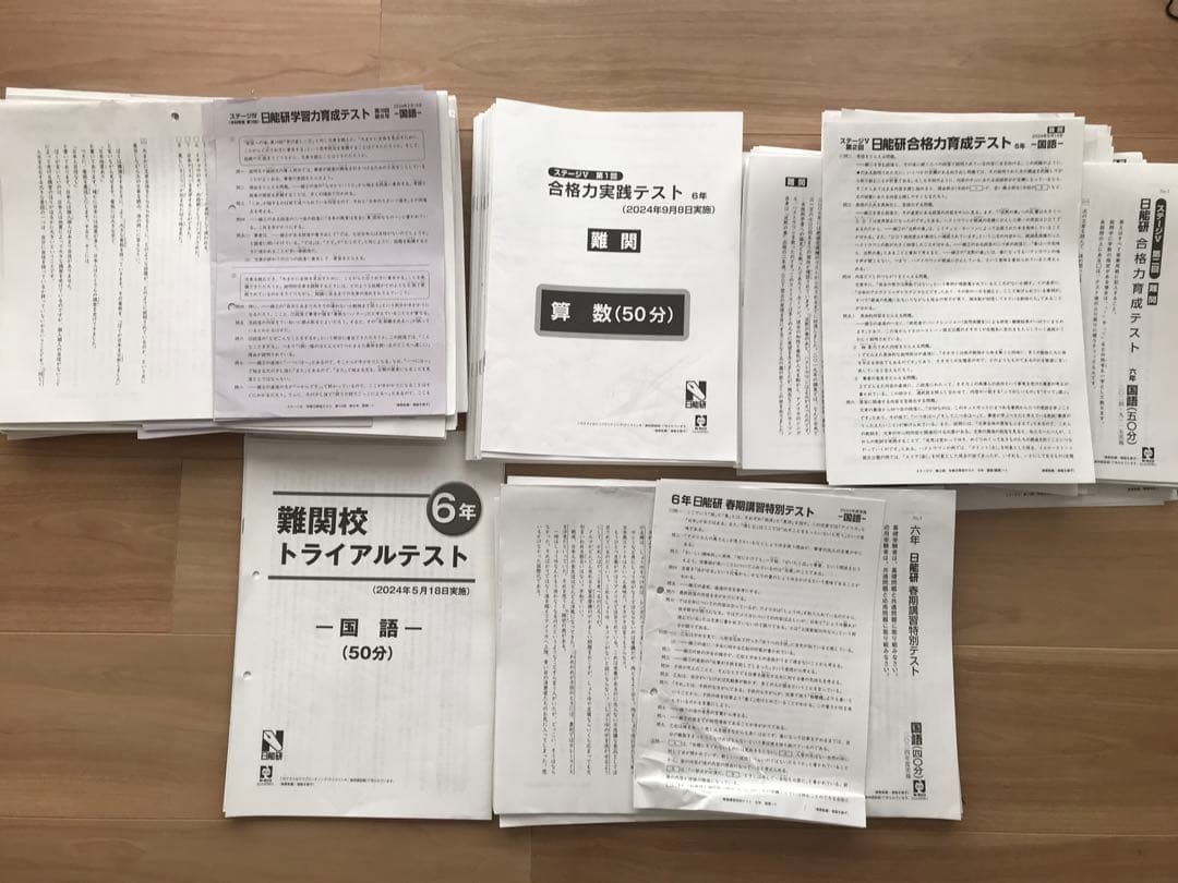 日能研学習力育成テスト、合格力実践テスト、難関校トライアル他6年2024