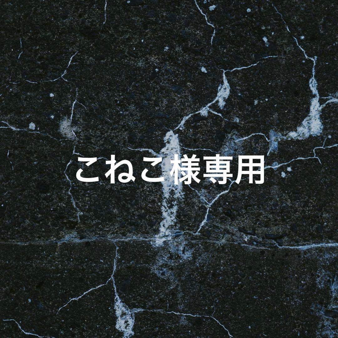 こねこ2/13 SサイズLLL LAB V-Neck Cardigan