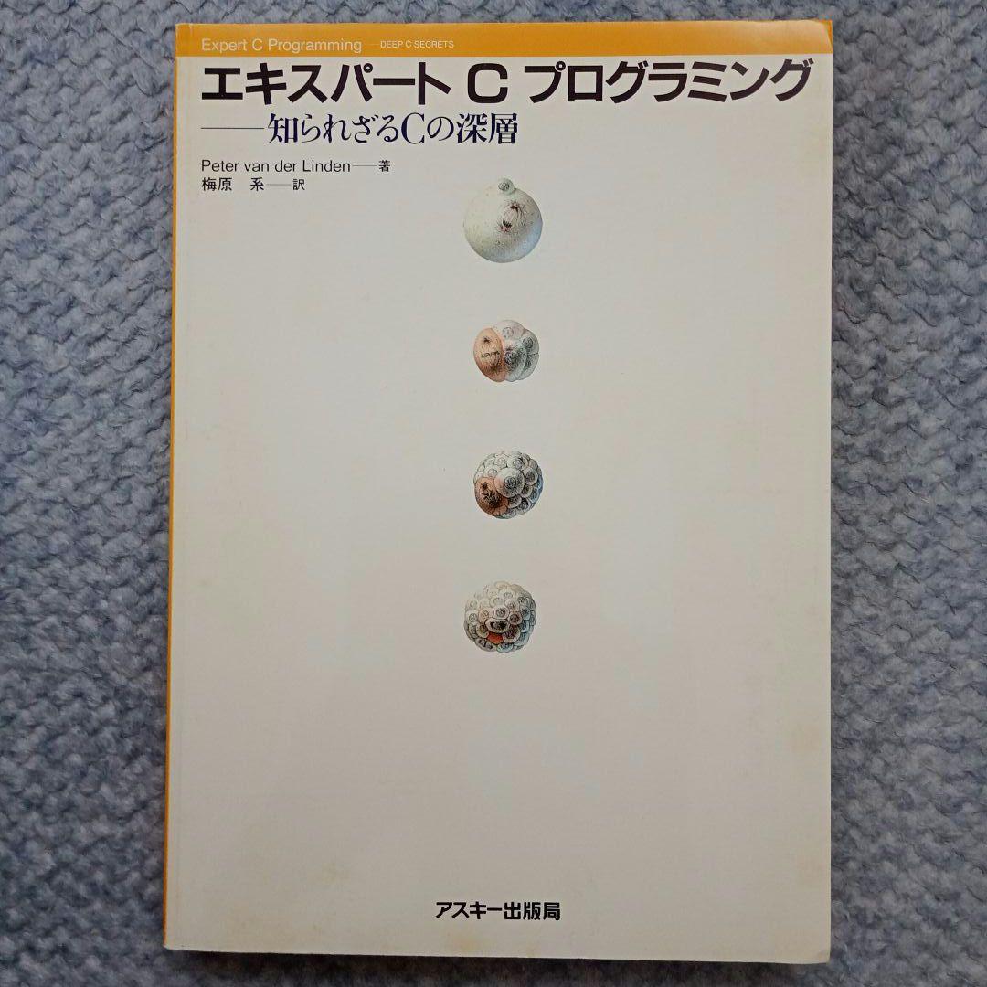 エキスパートCプログラミング