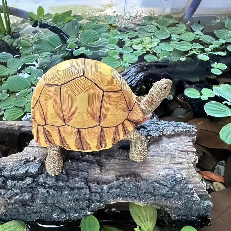 ヘサキリクガメ 10cm×7.3ｃｍ　クモノスガメ属 フィギュア リクガメ