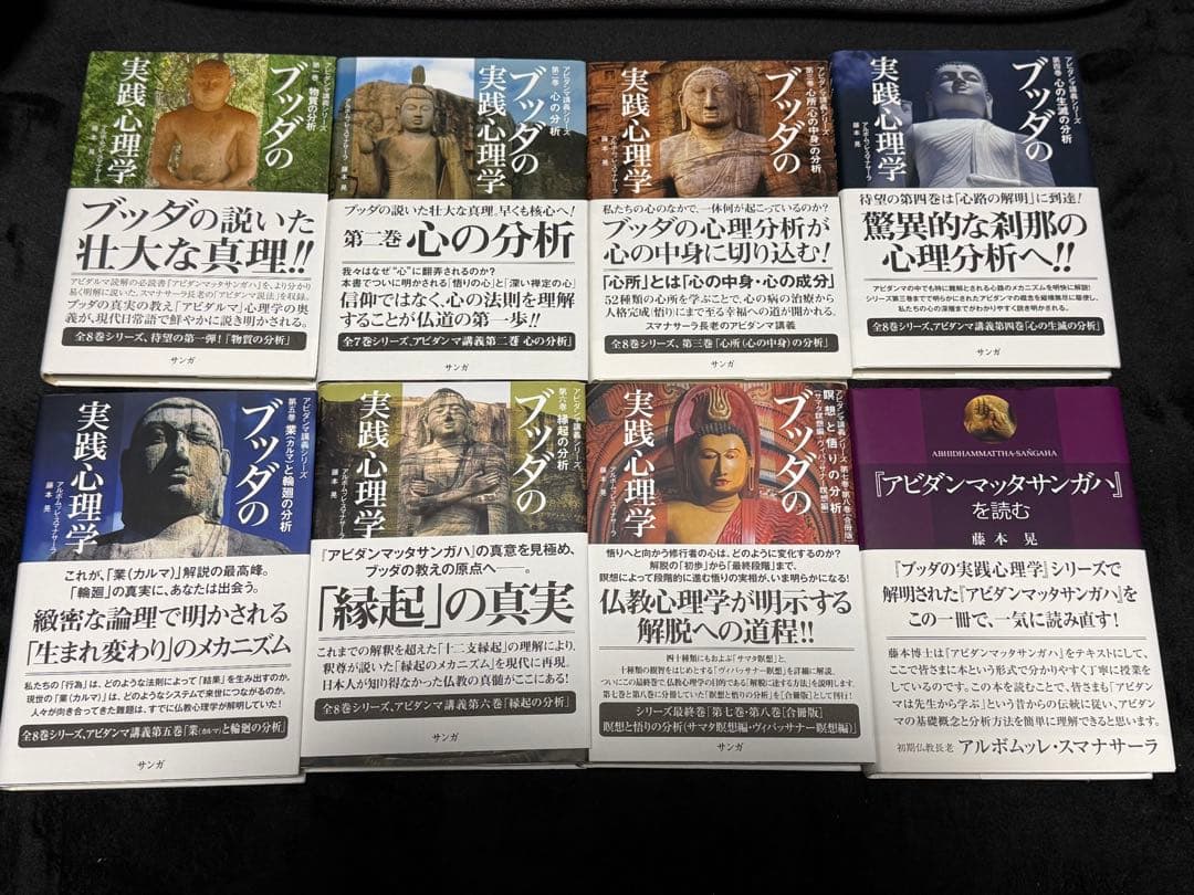 【限定希少品】ブッダの実践心理学　全８巻+初期仏教キーワード本付き