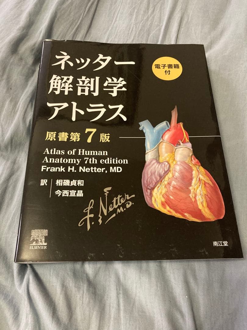 ネッター解剖学アトラス