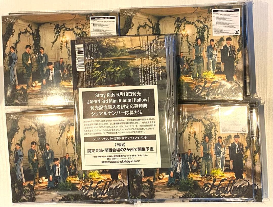 K-POP・アジア STRAY KIDS HOLLOW